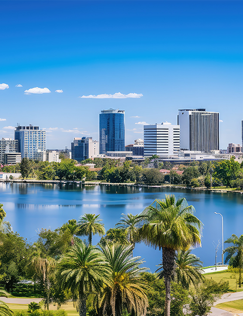 City skyline with palm trees